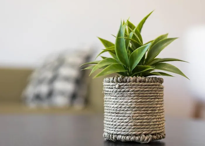 My Little Paradise דירה