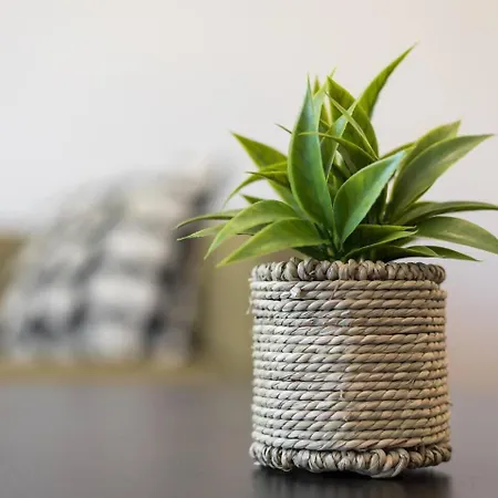 My Little Paradise Apartment