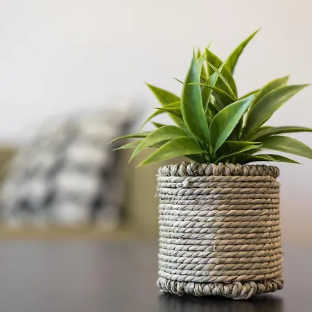 My Little Paradise *