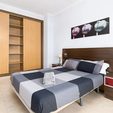 My Little Paradise Cotillo